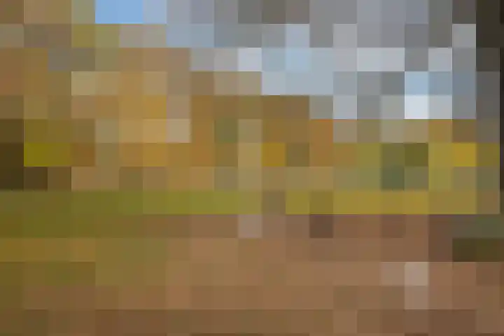 Celsiuslaan 78 Utrecht thumbnail 39