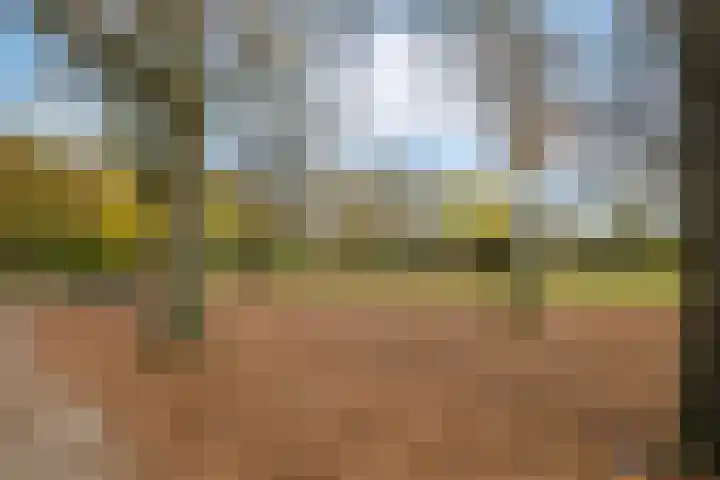 Celsiuslaan 78 Utrecht thumbnail 41