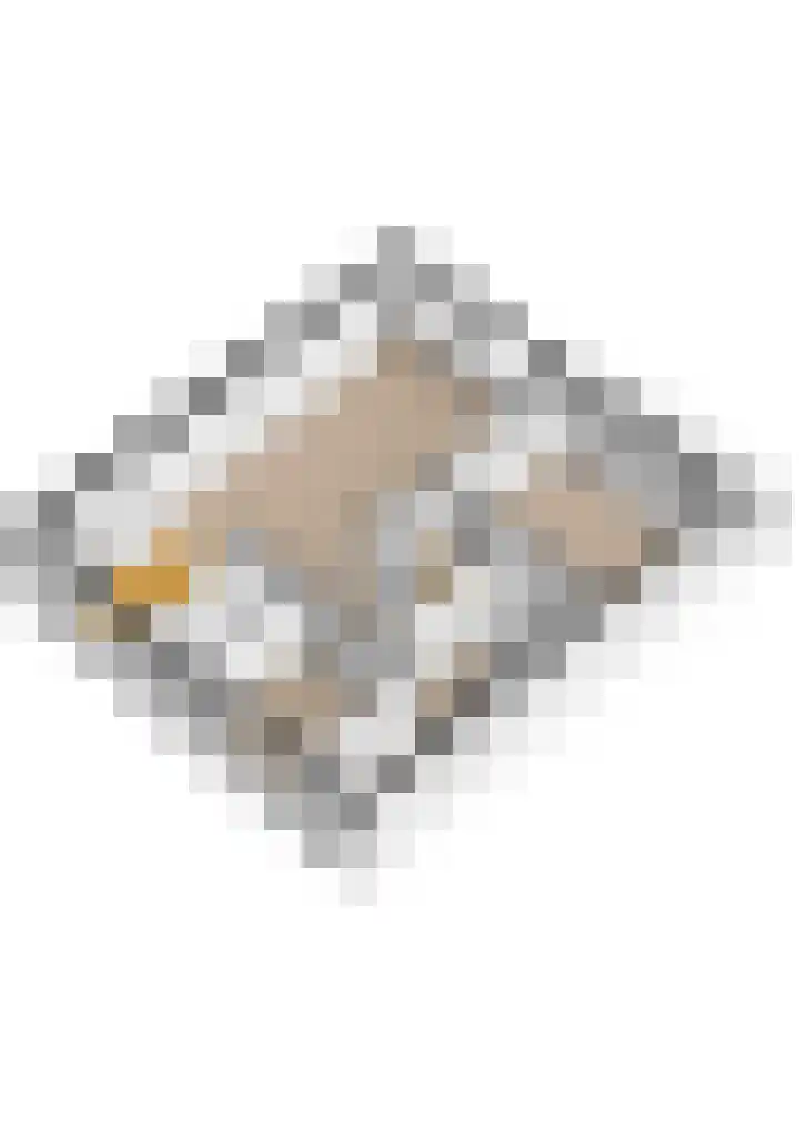 Celsiuslaan 78 Utrecht thumbnail 48