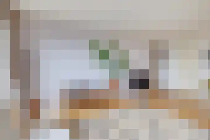 Celsiuslaan 78 Utrecht thumbnail 7