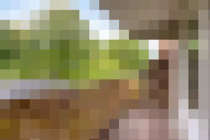 Celsiuslaan 90 Utrecht thumbnail 15