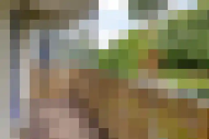 Celsiuslaan 90 Utrecht thumbnail 16