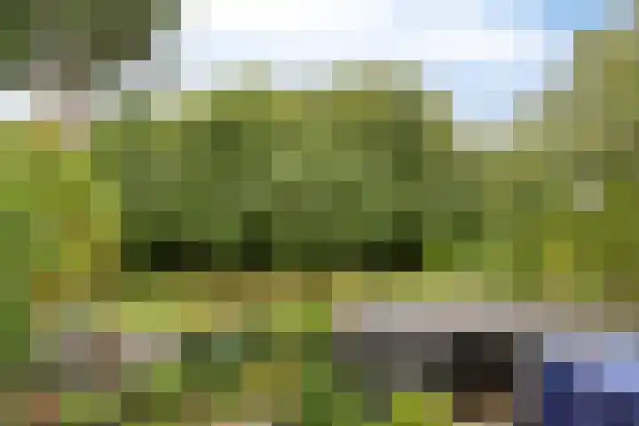 Celsiuslaan 90 Utrecht thumbnail 17