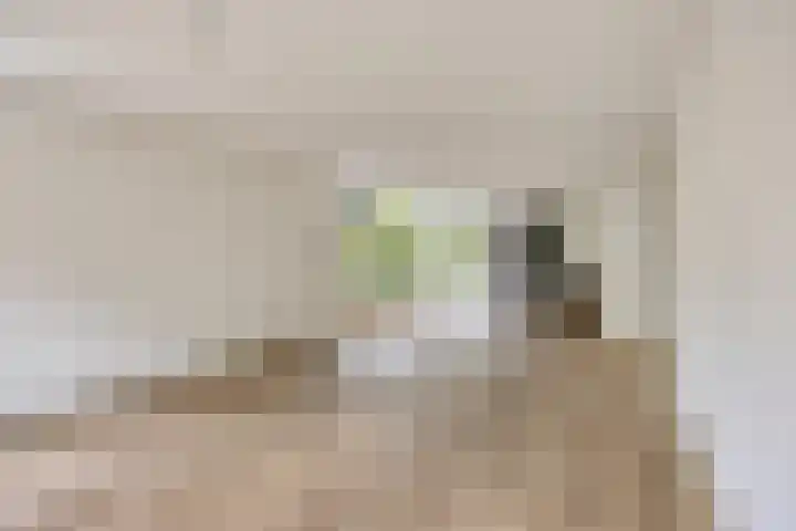 Celsiuslaan 90 Utrecht thumbnail 19
