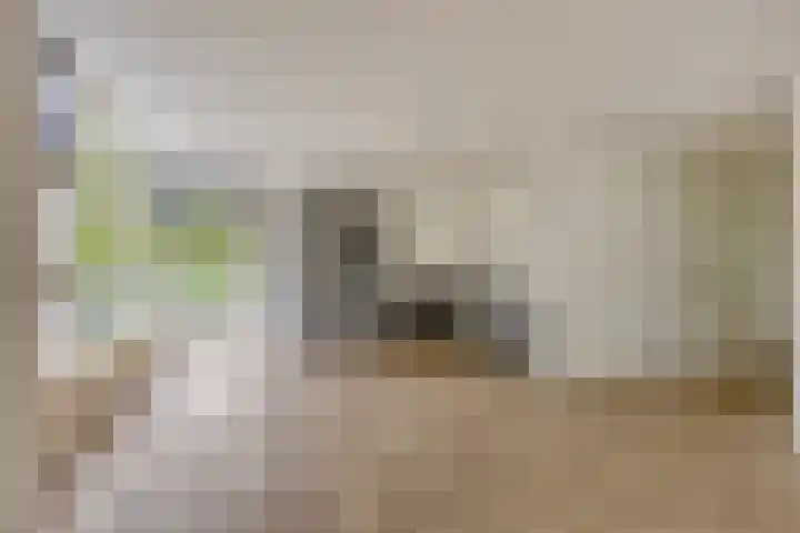 Celsiuslaan 90 Utrecht thumbnail 21