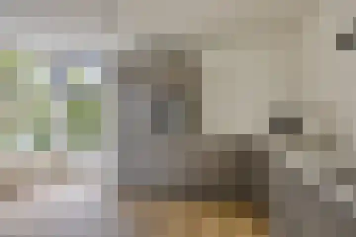 Celsiuslaan 90 Utrecht thumbnail 22