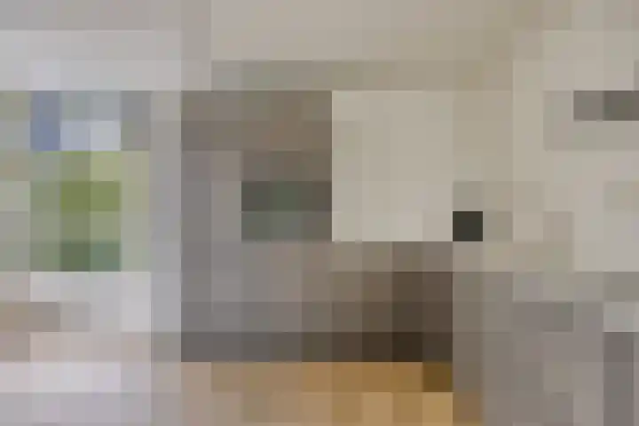 Celsiuslaan 90 Utrecht thumbnail 23