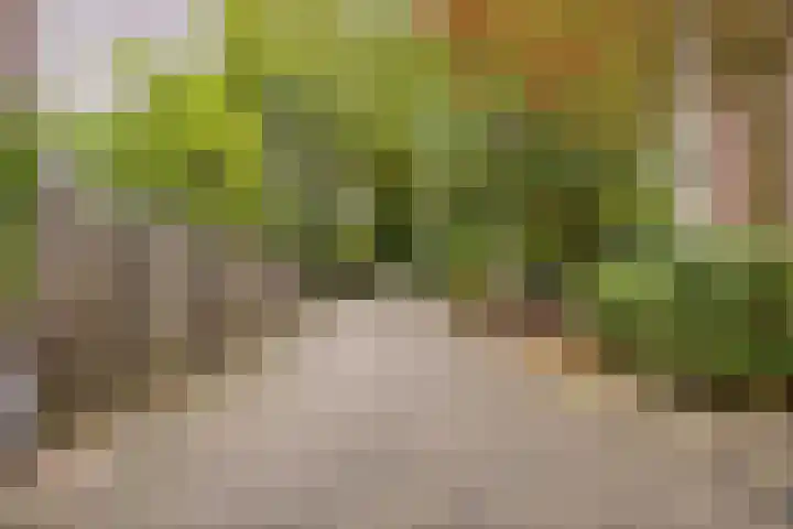 Celsiuslaan 90 Utrecht thumbnail 41