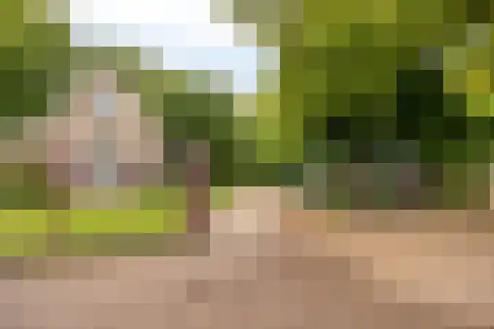Celsiuslaan 90 Utrecht thumbnail 42