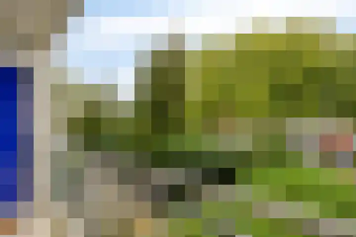 Celsiuslaan 90 Utrecht thumbnail 8
