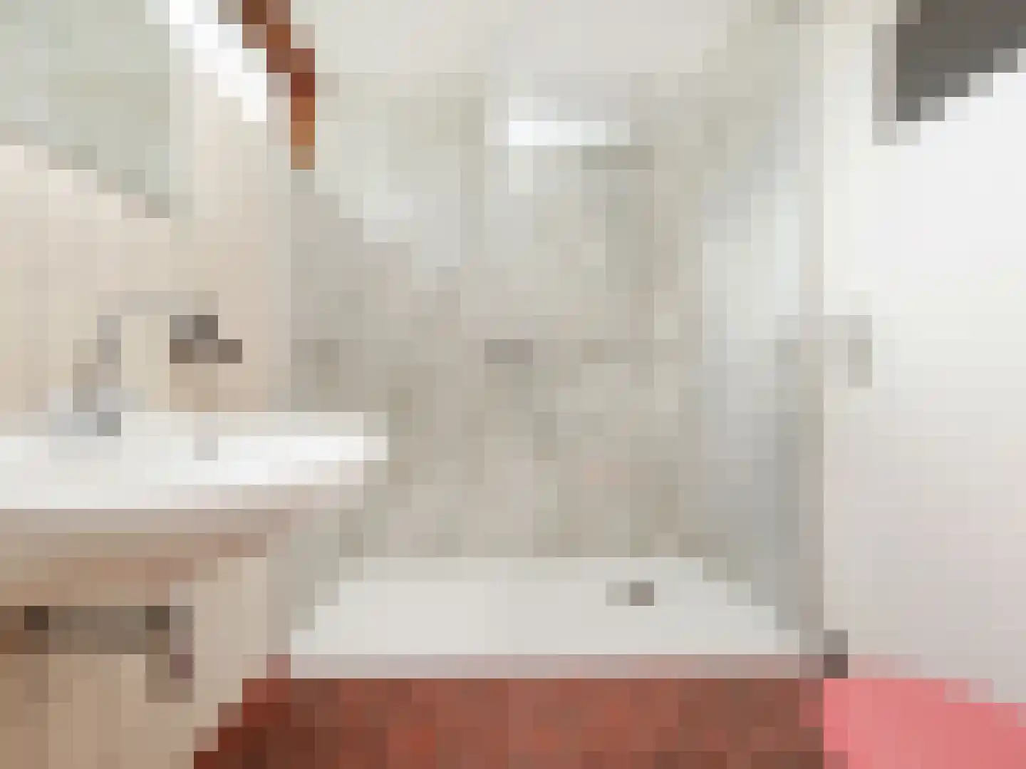 Celsiusplantsoen 2 Badhoevedorp thumbnail 21