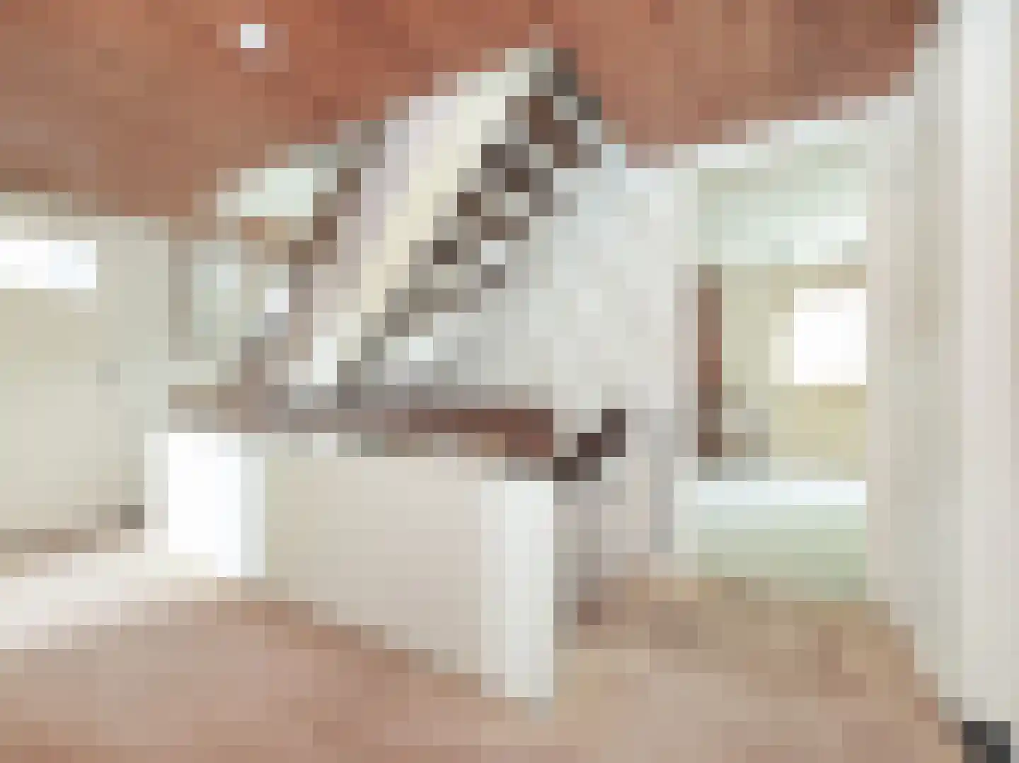 Celsiusplantsoen 2 Badhoevedorp thumbnail 25