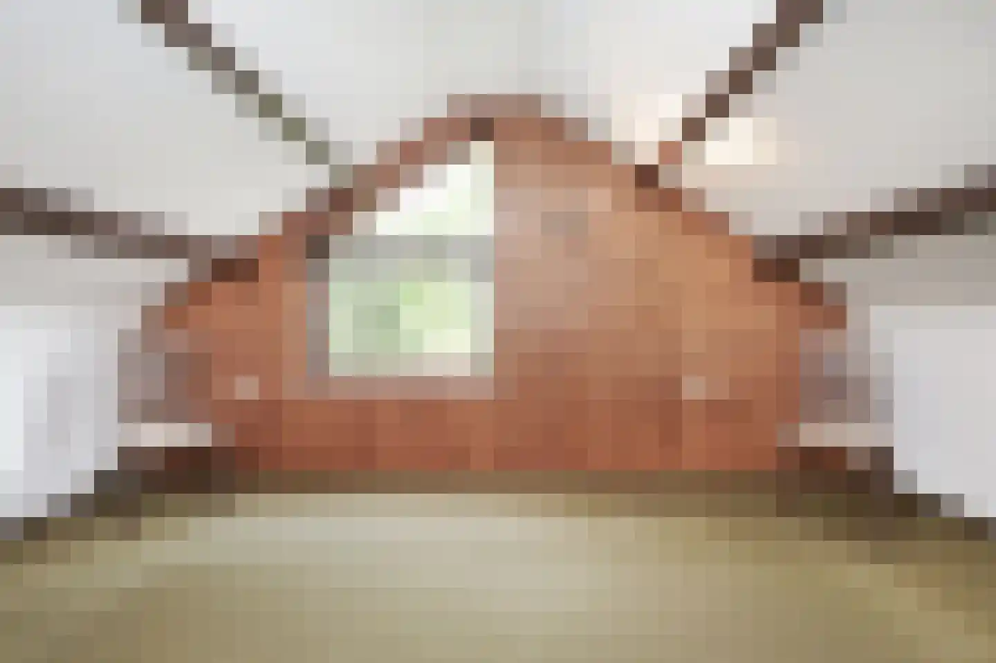 Celsiusplantsoen 2 Badhoevedorp thumbnail 26