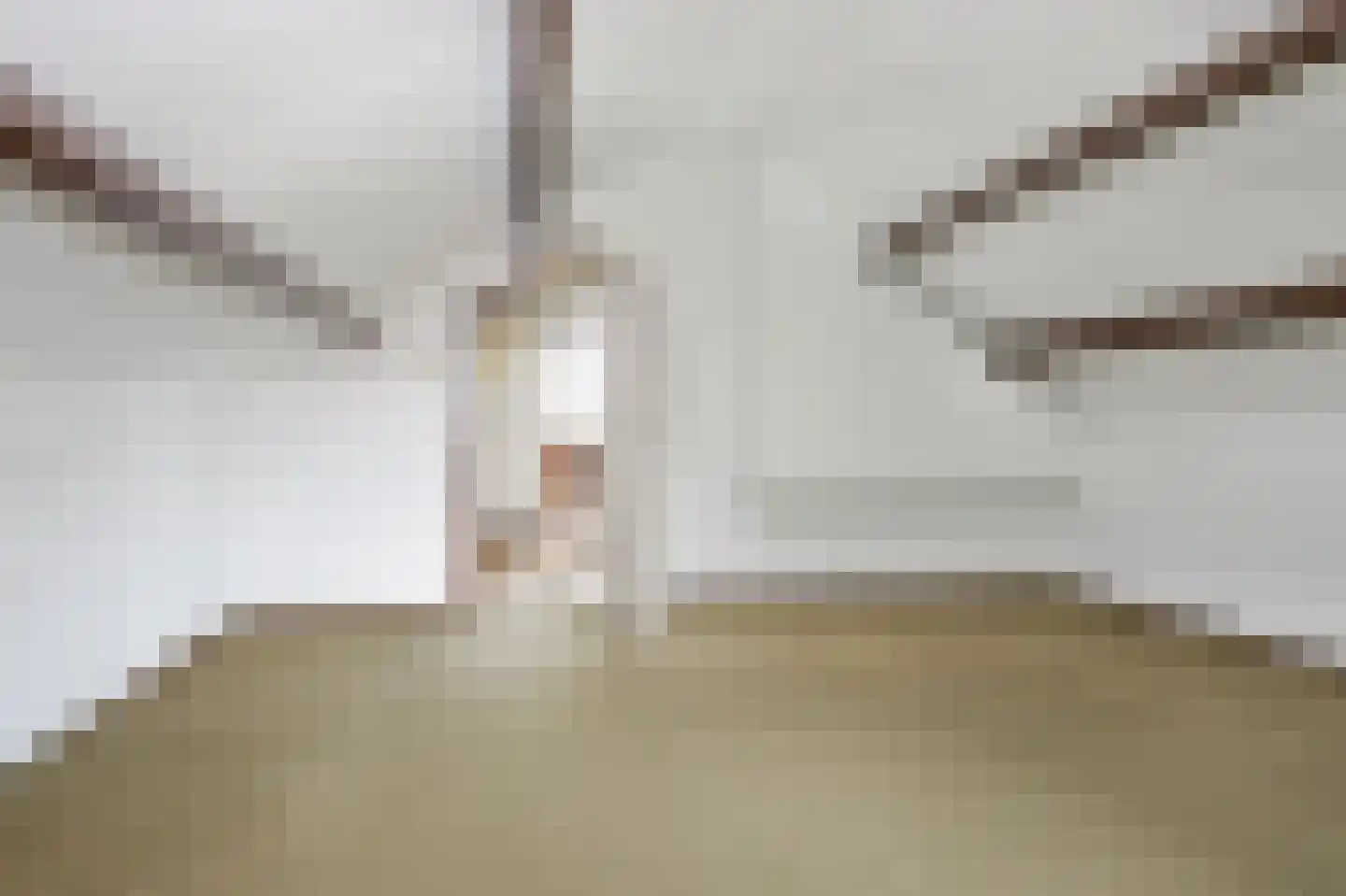 Celsiusplantsoen 2 Badhoevedorp thumbnail 27
