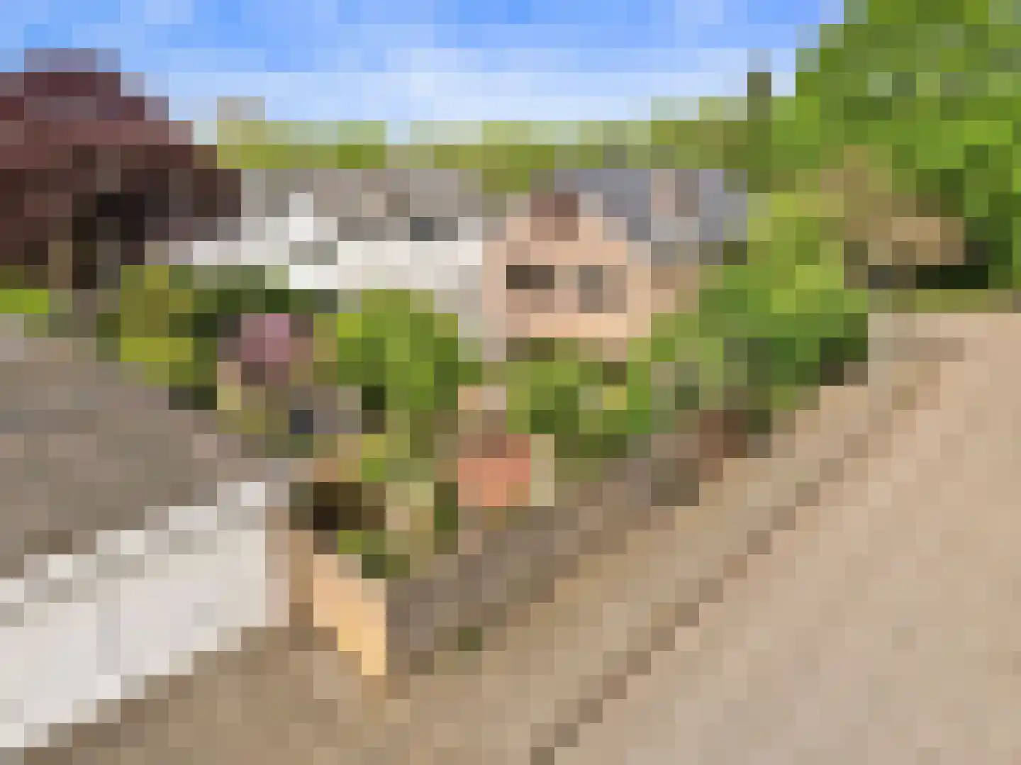 Celsiusplantsoen 2 Badhoevedorp thumbnail 39