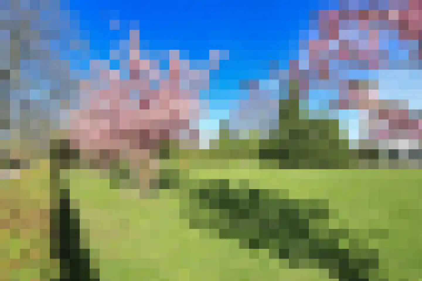 Celsiusplantsoen 2 Badhoevedorp thumbnail 50
