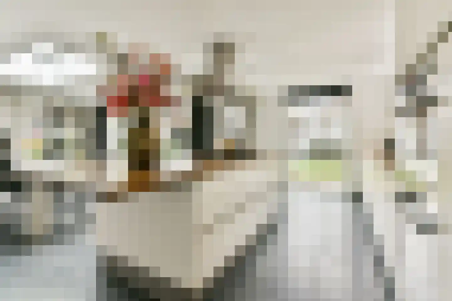 Celsiusplantsoen 4 Badhoevedorp thumbnail 15