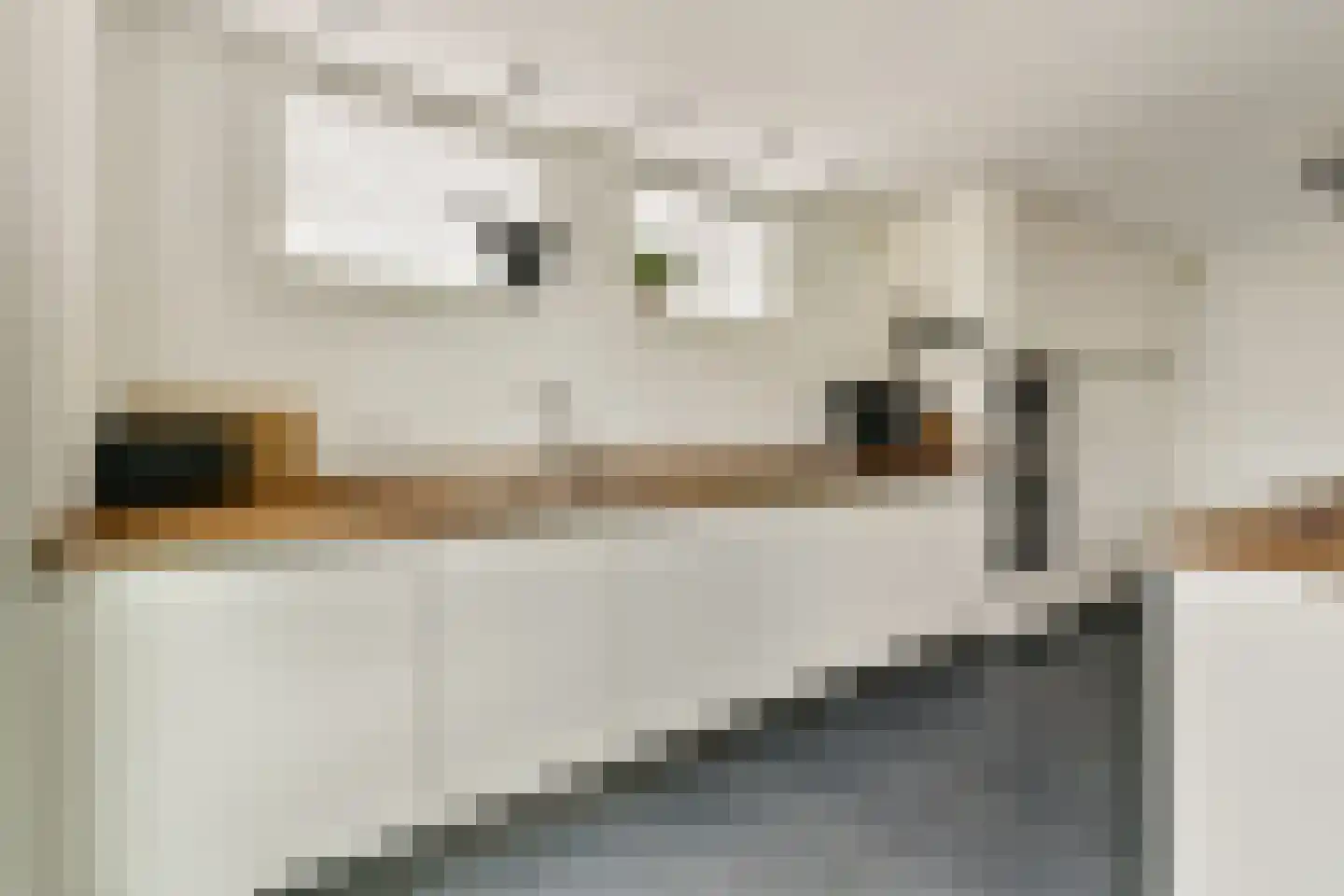 Celsiusplantsoen 4 Badhoevedorp thumbnail 16