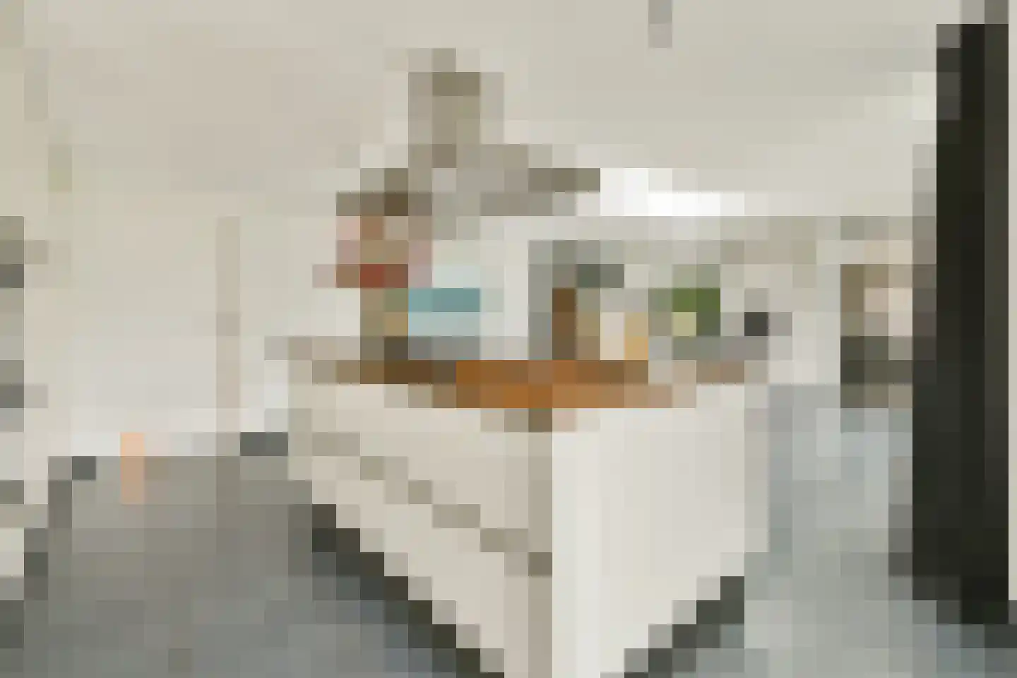 Celsiusplantsoen 4 Badhoevedorp thumbnail 17