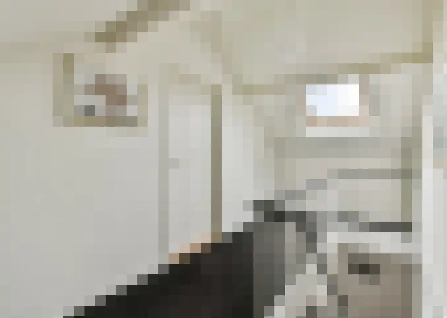 Celsiusplantsoen 4 Badhoevedorp thumbnail 30