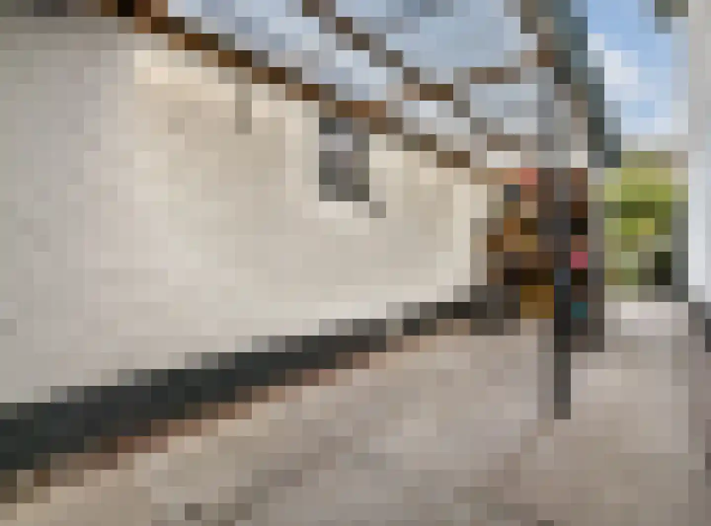 Celsiusplantsoen 4 Badhoevedorp thumbnail 49