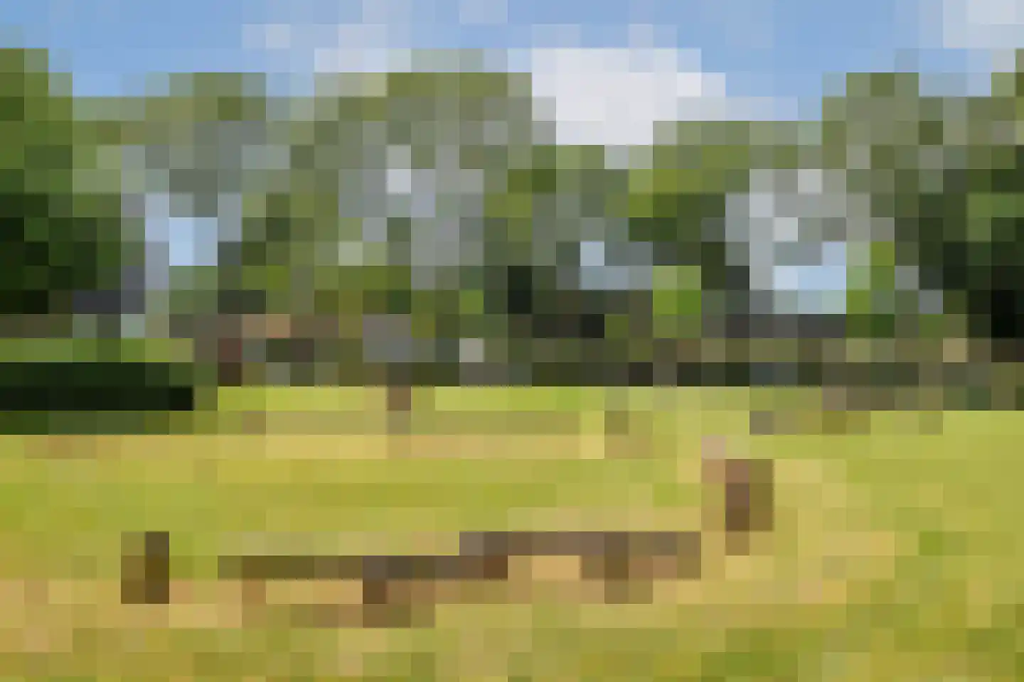 Celsiusplantsoen 4 Badhoevedorp thumbnail 52