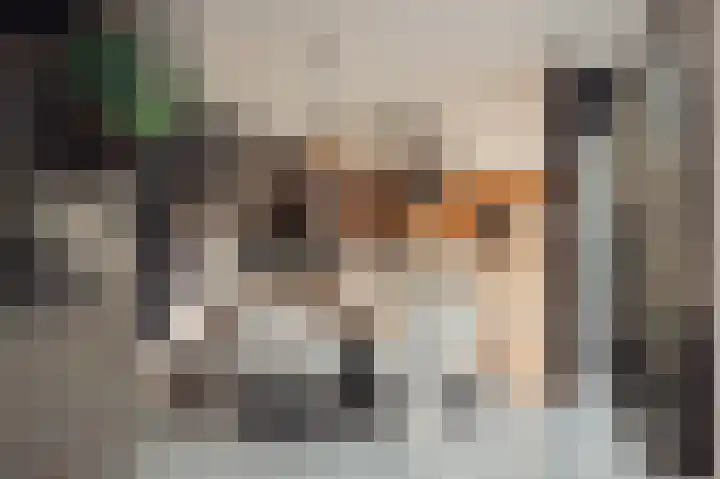 Celsiusplantsoen 6 Badhoevedorp thumbnail 10