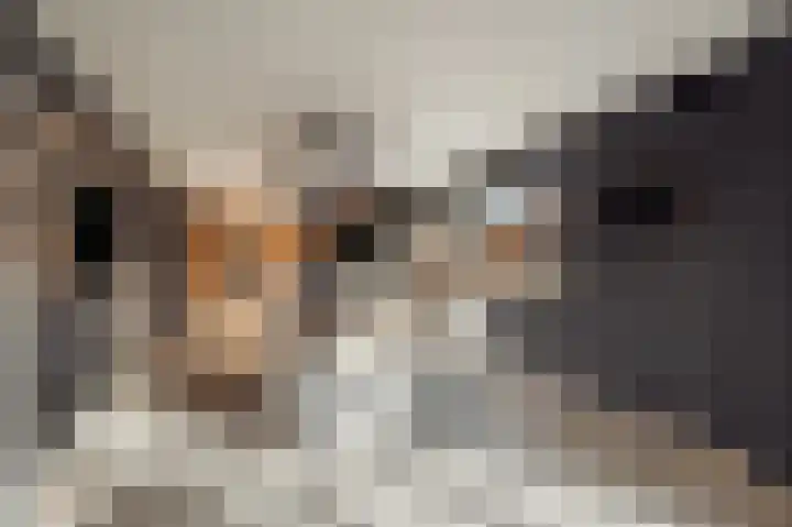 Celsiusplantsoen 6 Badhoevedorp thumbnail 15