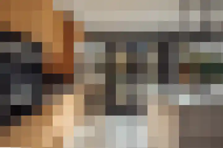 Celsiusplantsoen 6 Badhoevedorp thumbnail 18