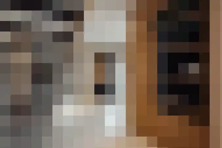 Celsiusplantsoen 6 Badhoevedorp thumbnail 19