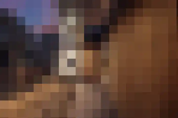 Celsiusplantsoen 6 Badhoevedorp thumbnail 47