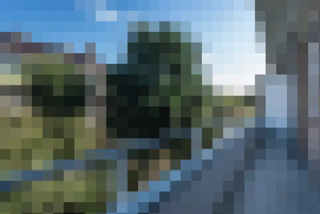 Celsiusstraat 1 Schiedam thumbnail 8