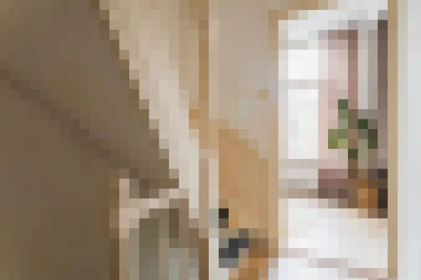 Celsiusstraat 171 Den Haag thumbnail 20
