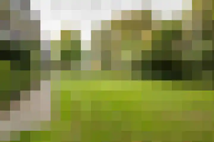 Celsiusstraat 31 Apeldoorn thumbnail 25