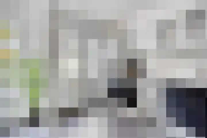 Celsiusstraat 32 Terneuzen thumbnail 10