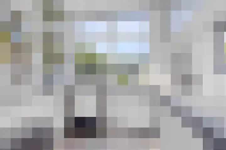 Celsiusstraat 32 Terneuzen thumbnail 13