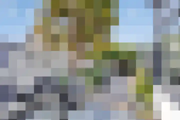 Celsiusstraat 32 Terneuzen thumbnail 25