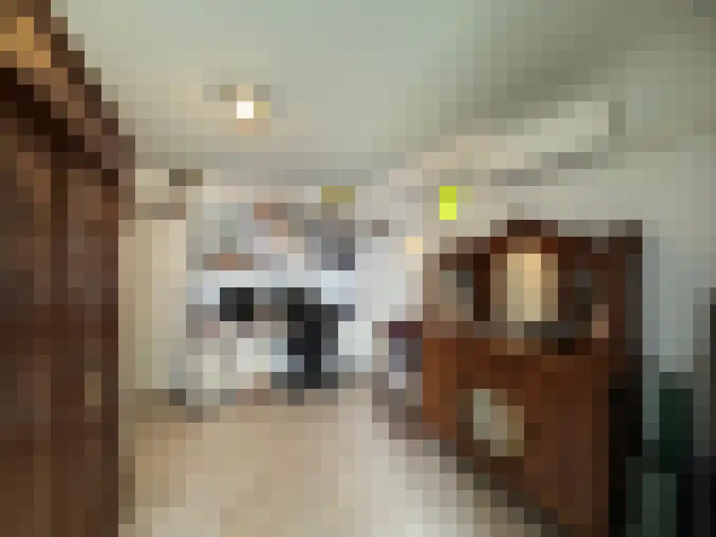 Celsiusstraat 35 Terneuzen thumbnail 16