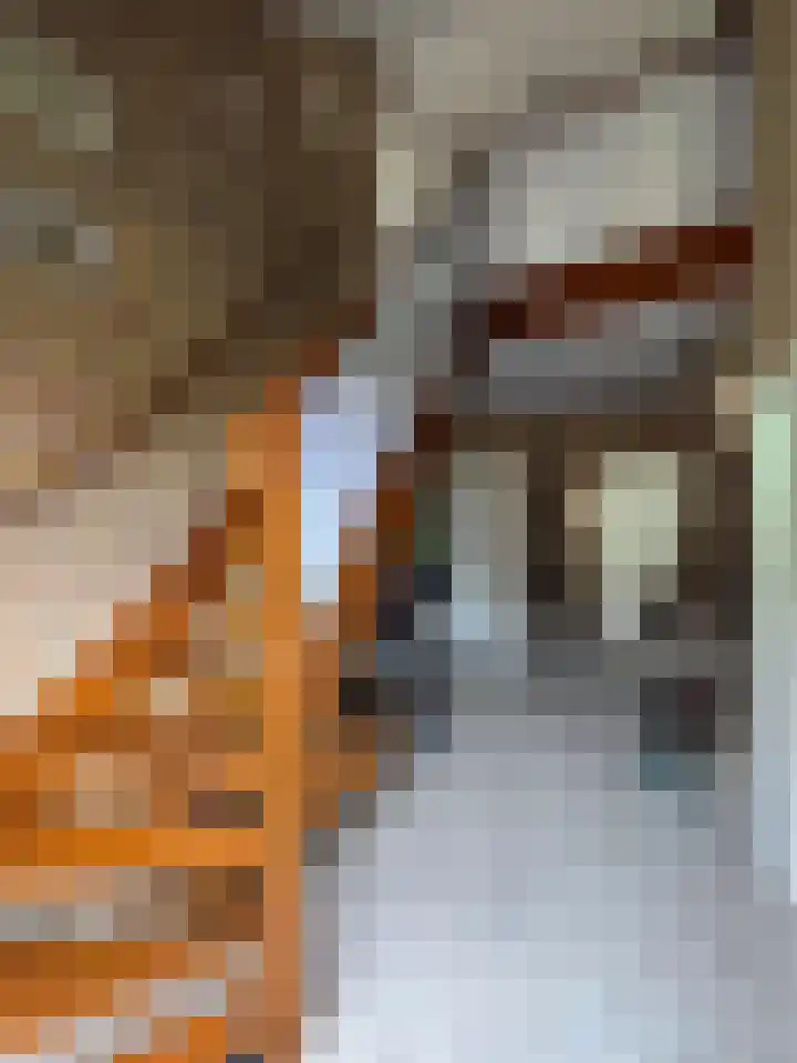 Celsiusstraat 35 Terneuzen thumbnail 17