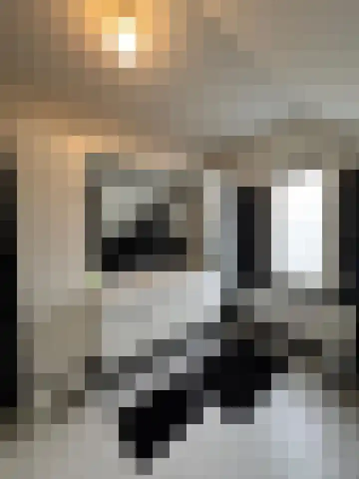 Celsiusstraat 35 Terneuzen thumbnail 18