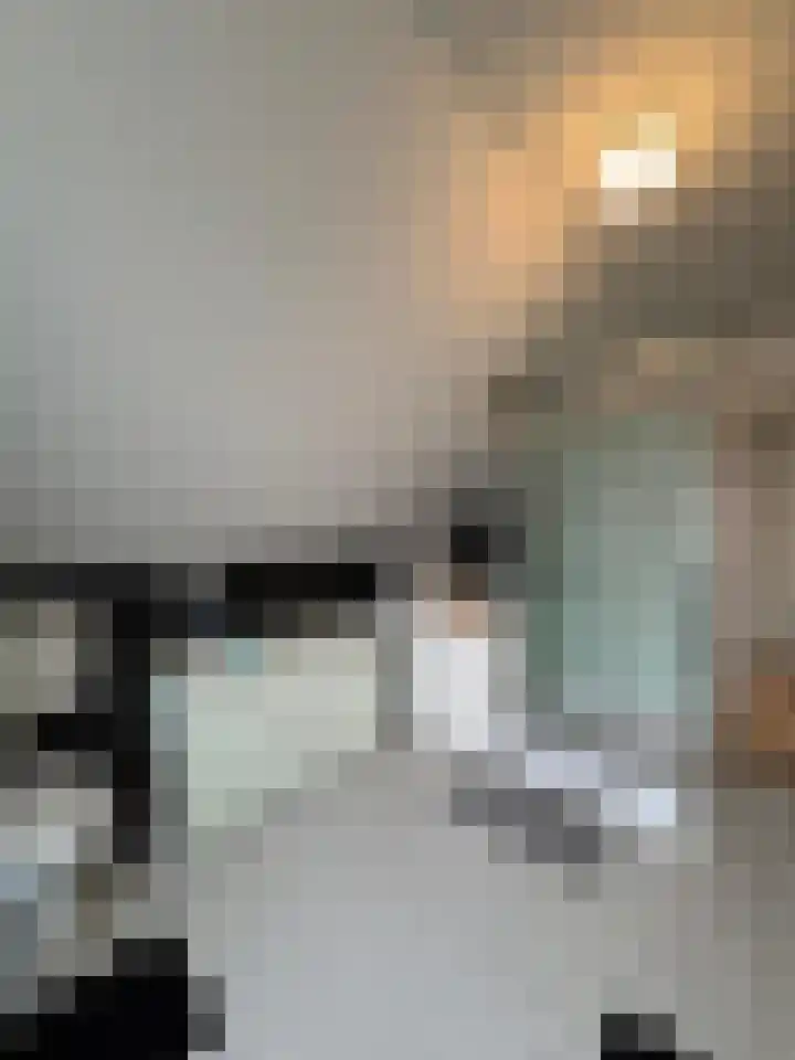 Celsiusstraat 35 Terneuzen thumbnail 20