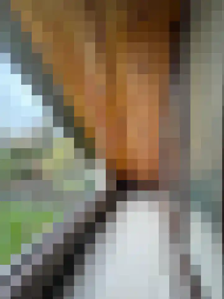 Celsiusstraat 35 Terneuzen thumbnail 28