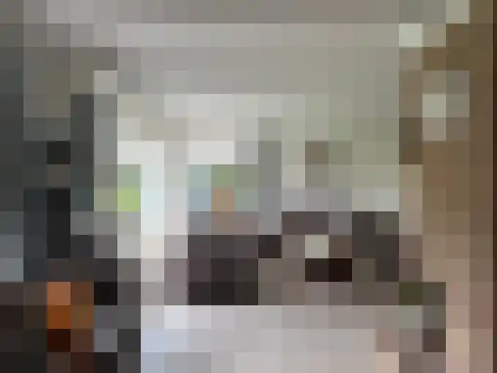 Celsiusstraat 35 Terneuzen thumbnail 4