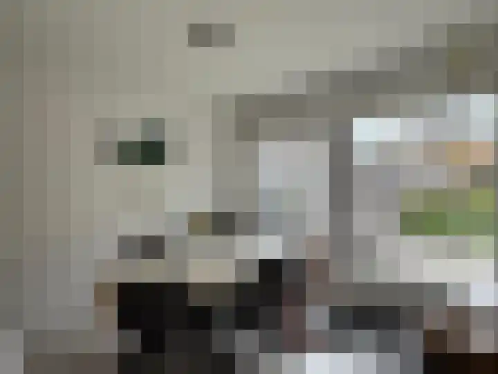 Celsiusstraat 35 Terneuzen thumbnail 5