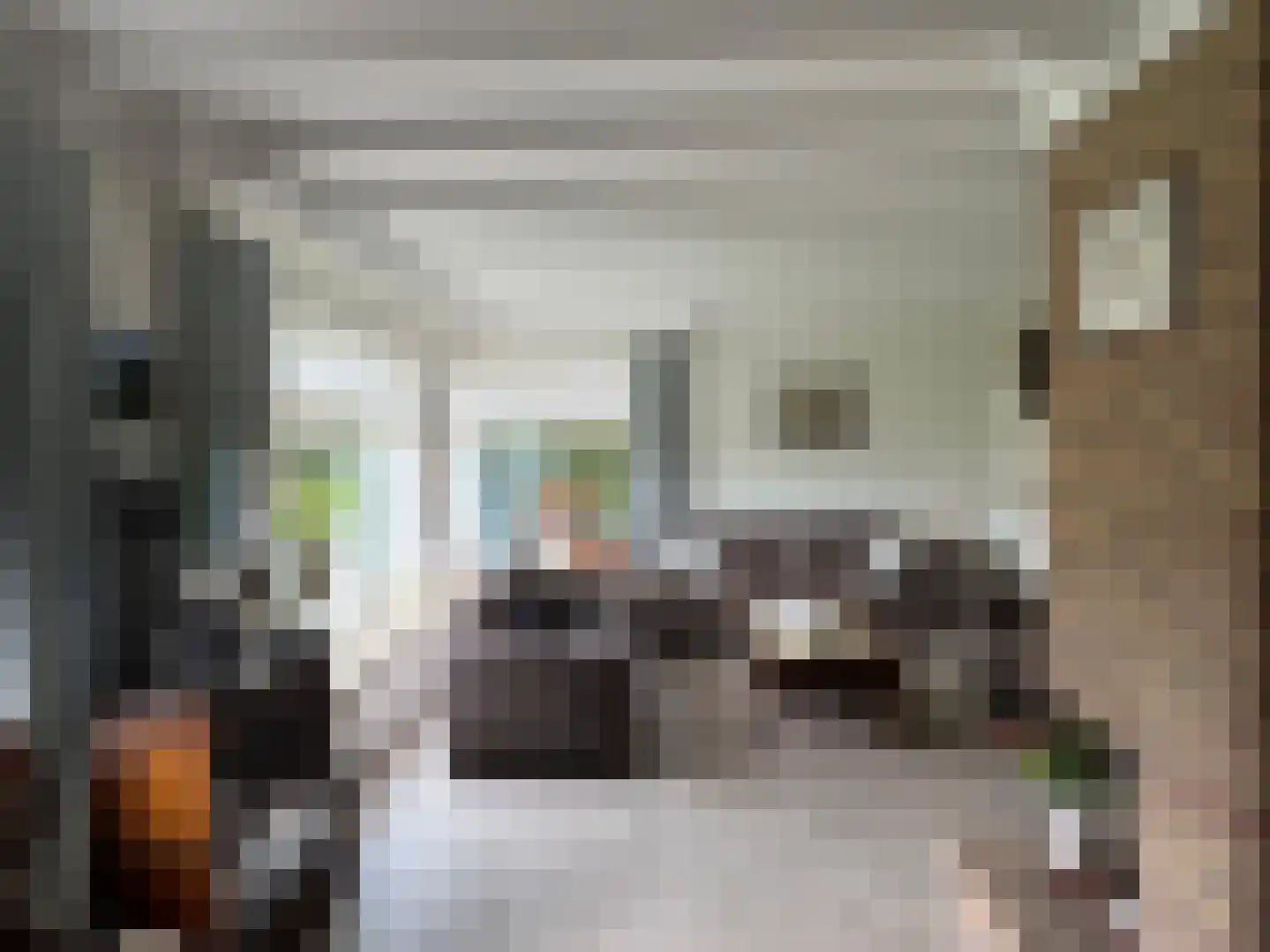 Celsiusstraat 35 Terneuzen thumbnail 5