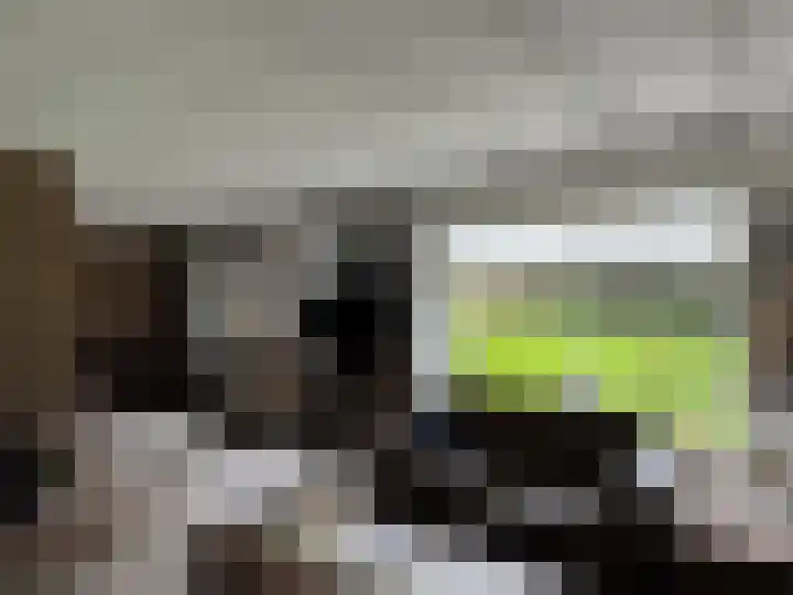 Celsiusstraat 35 Terneuzen thumbnail 6