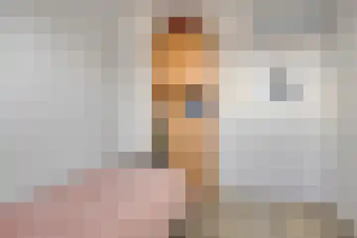 Celsiusstraat 4 Terneuzen thumbnail 29