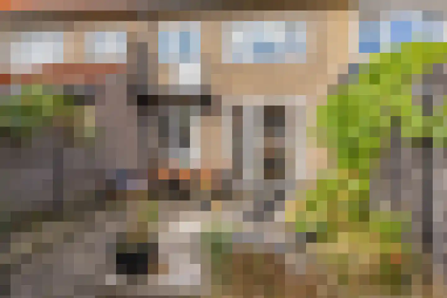 Celsiusstraat 5 IJmuiden thumbnail 31