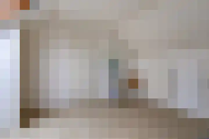 Celsiusstraat 52 Terneuzen thumbnail 22