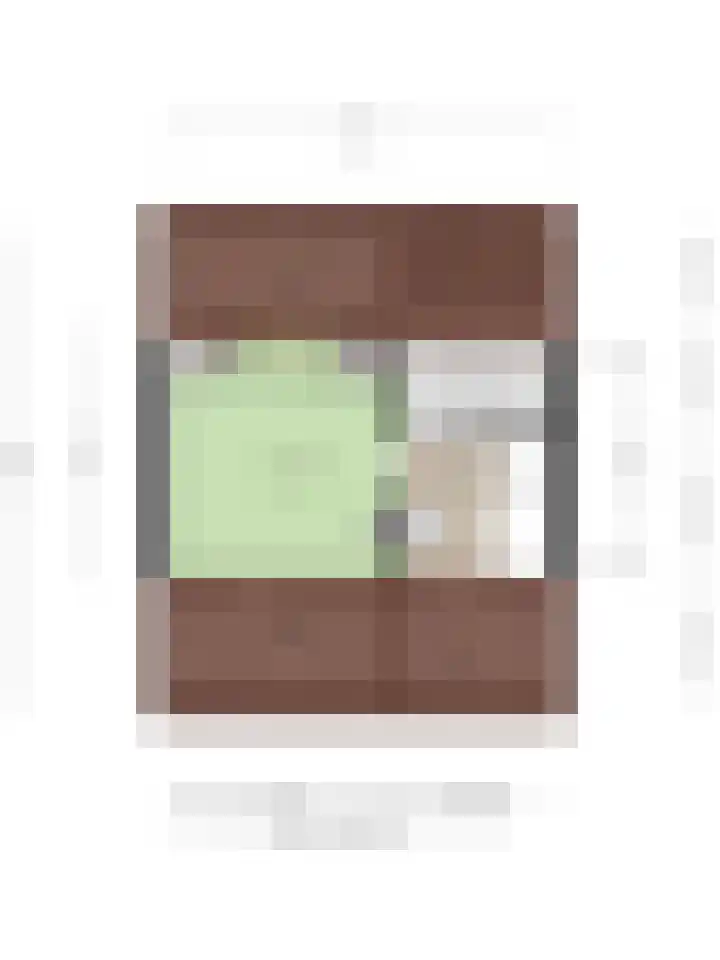 Celsiusstraat 52 Terneuzen thumbnail 30